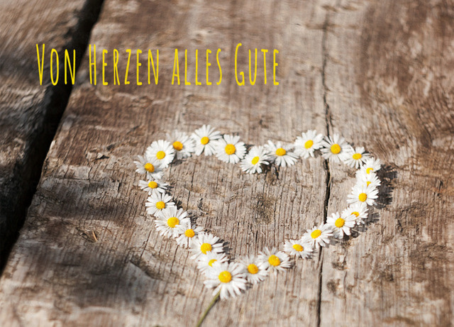 Gänseblümchen-2_Von-Herzen-alles-Gute-web | Schöne Postkarten, Kalender und Fotogeschenke für verschiedene Anlässe online kaufen – Urlaubskarten, Geburtstagskarten, Karten, Polaroids und Geschenke zu Weihnachten, Ostern, Muttertag, Valentinstag oder zur Hochzeit - Realisiert mit Pictrs.com