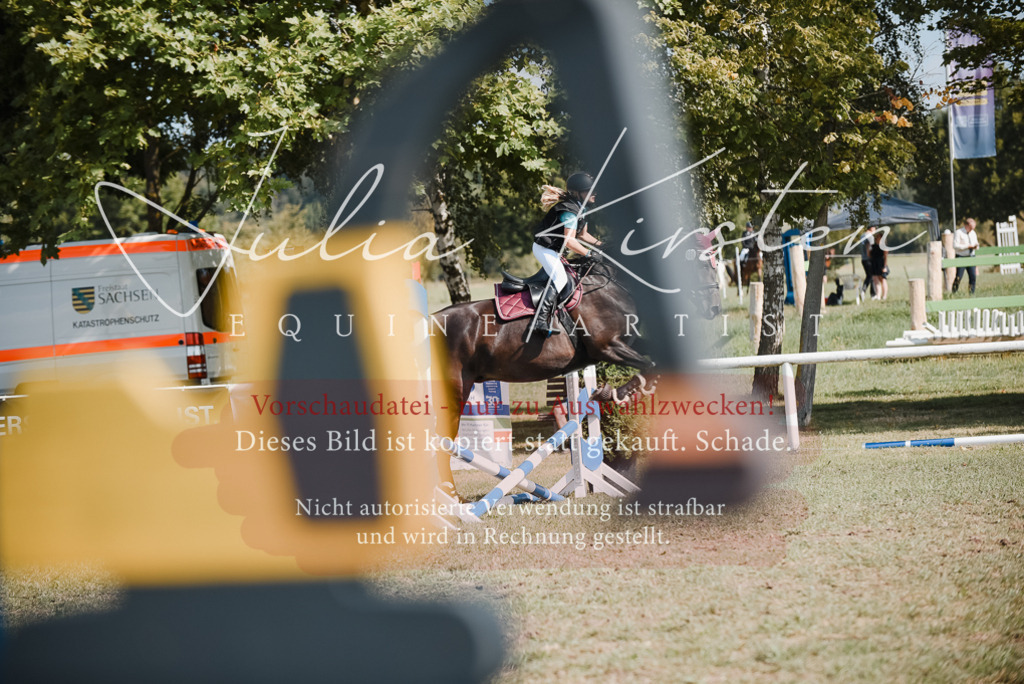 DSC_5245 | Pferde- und Turnierfotografie in Westsachsen. Pferdeportraits, Auftragszeichnungen und intuitive Kunst.