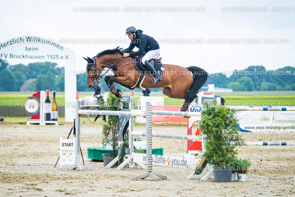 DSC00629 | Pferdegrafie