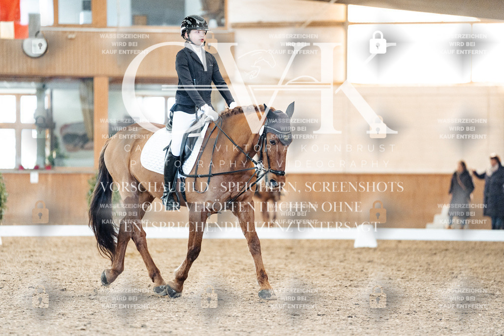 CK907726 | Turnierfotografie Pferdefotografie Trier Rheinland-Pfalz Pferdesport Reitsport Tierfotografie Sportfotografie Pferdevideo Pferdevideografie Equestrianvideography equestrianphotography  - Realisiert mit Pictrs.com