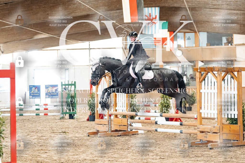 CK903976 | Turnierfotografie Pferdefotografie Trier Rheinland-Pfalz Pferdesport Reitsport Tierfotografie Sportfotografie Pferdevideo Pferdevideografie Equestrianvideography equestrianphotography  - Realisiert mit Pictrs.com