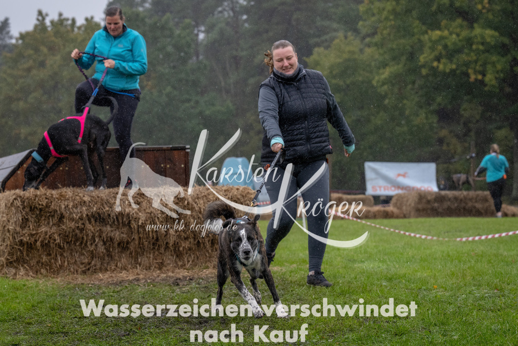 1300--4 | kk-dogfotos