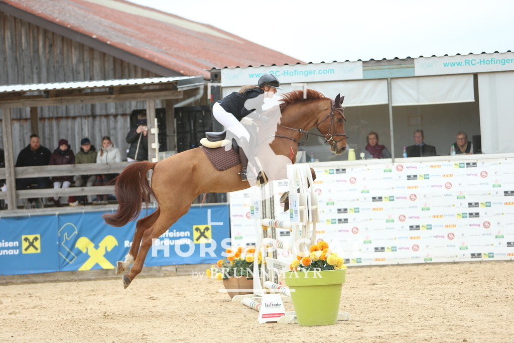 DL2Q6953 | Willkommen bei Brunnmayr - Design & Fotografie – Ihrem Spezialisten für Reitturniere und Pferdeveranstaltungen in Oberösterreich, Salzburg und Bayern! Seit über 17 Jahren sind wir leidenschaftlich dabei.