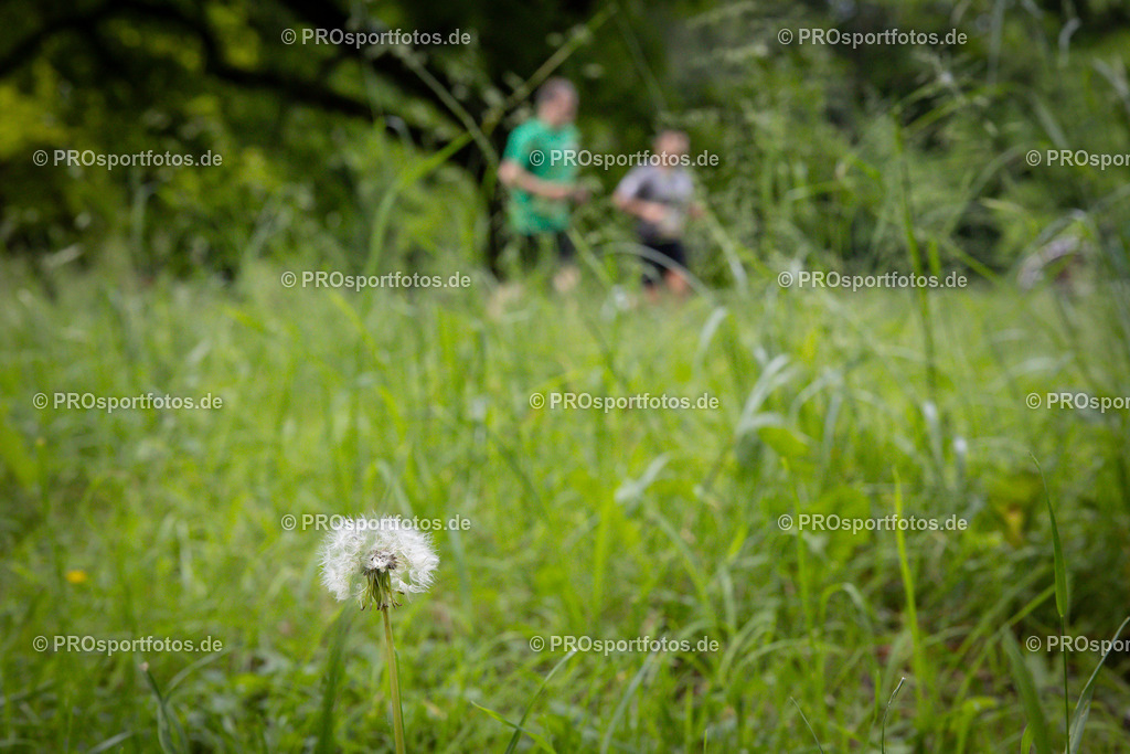 Stadionlauf Köln, 26.05.2024 | Impressionen von Stadionlauf Köln am 26.05.2024 rund um das RheinEnergie-Stadion in Koeln-Müngersdorf.