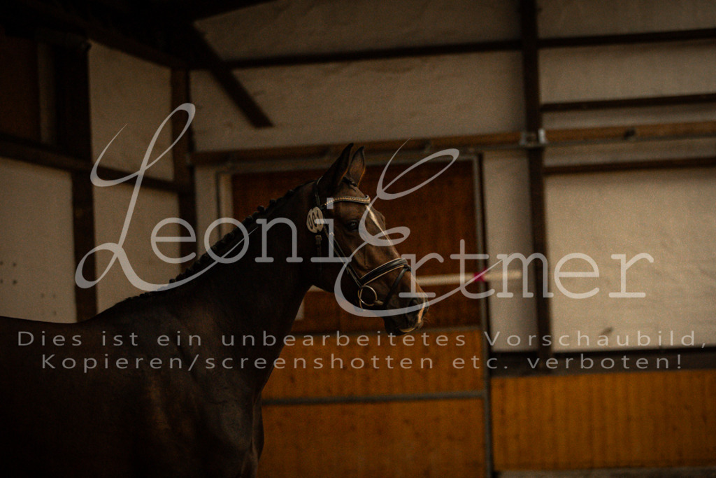 1FS_L00018 | Leoni Ertmer Photography - Realisiert mit Pictrs.com