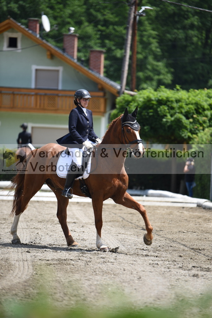 DSC_9387 | equestrian-live-com