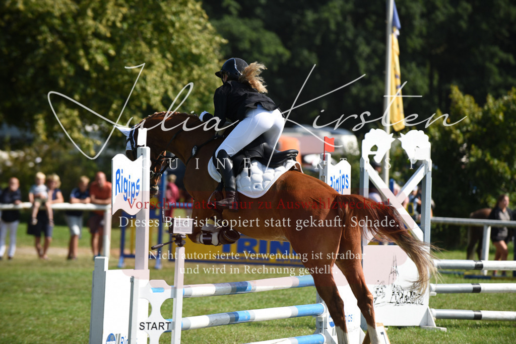 DSC_9124 | Pferde- und Turnierfotografie in Westsachsen. Pferdeportraits, Auftragszeichnungen und intuitive Kunst.