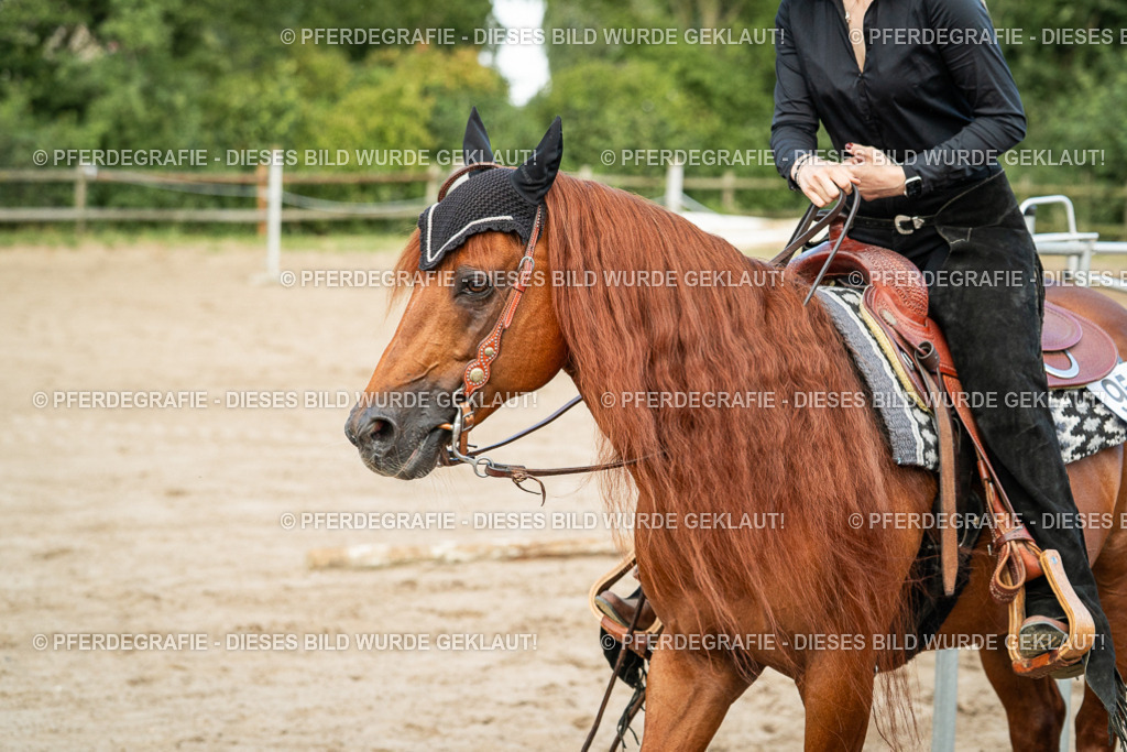 DSC06005 | Pferdegrafie