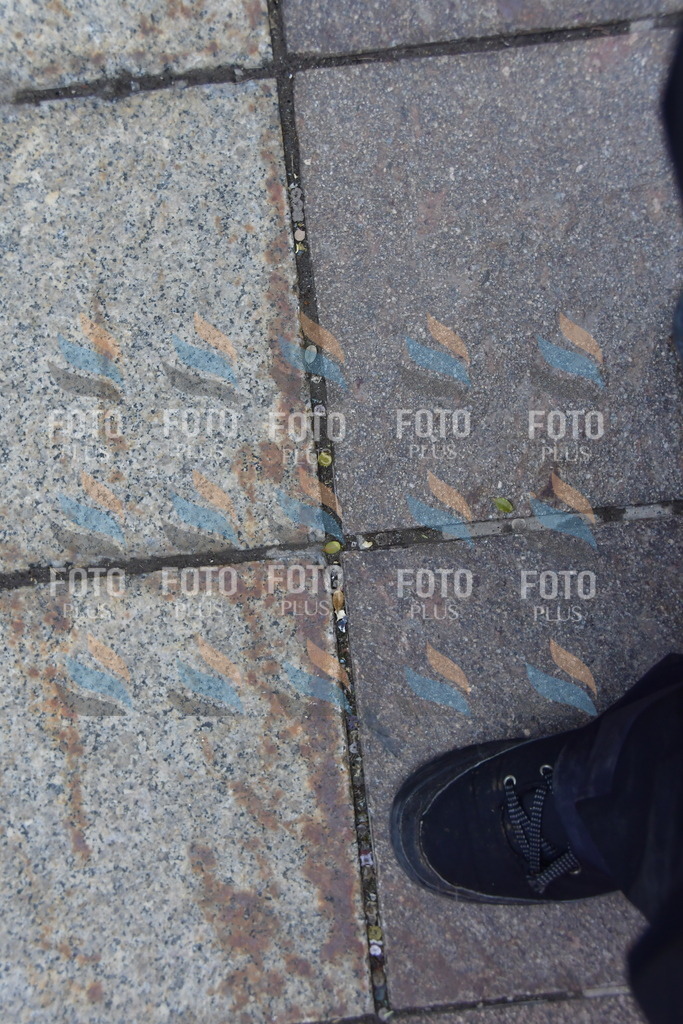 _DSC1815 | holidayphoto