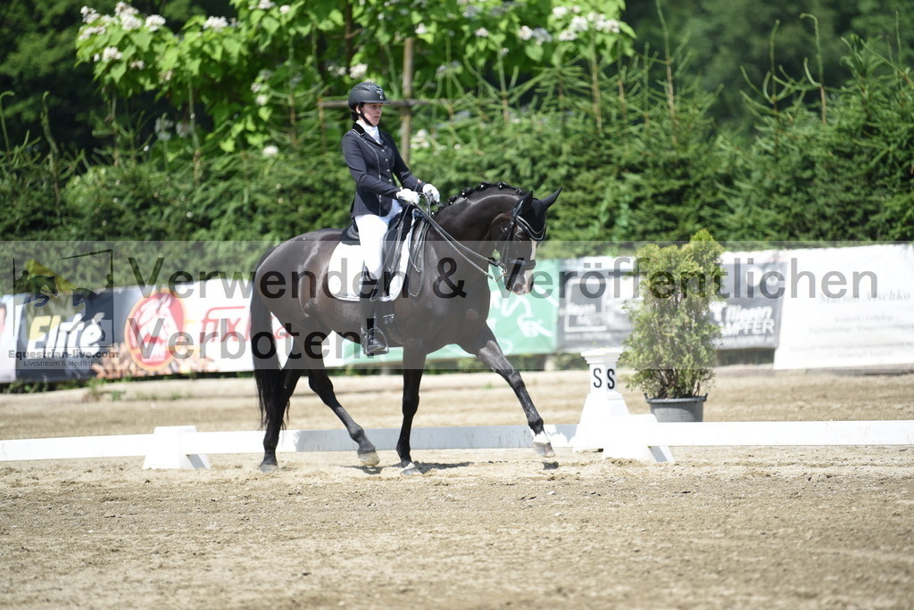 DSC_9026 | equestrian-live-com
