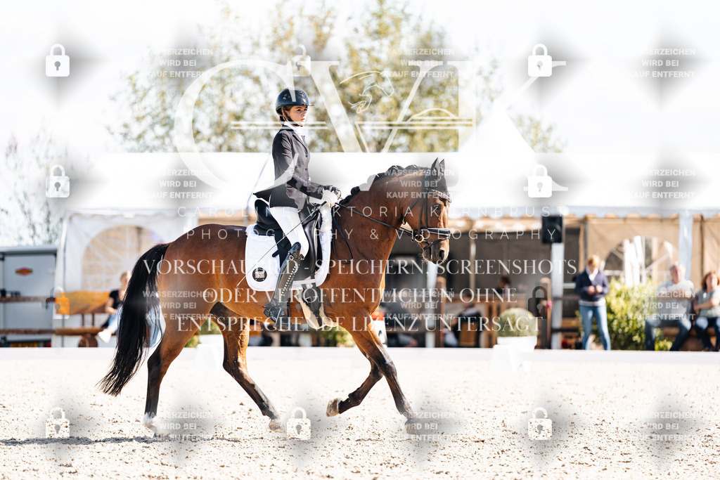 CK902722 | Turnierfotografie Pferdefotografie Trier Rheinland-Pfalz Pferdesport Reitsport Tierfotografie Sportfotografie Pferdevideo Pferdevideografie Equestrianvideography equestrianphotography  - Realisiert mit Pictrs.com