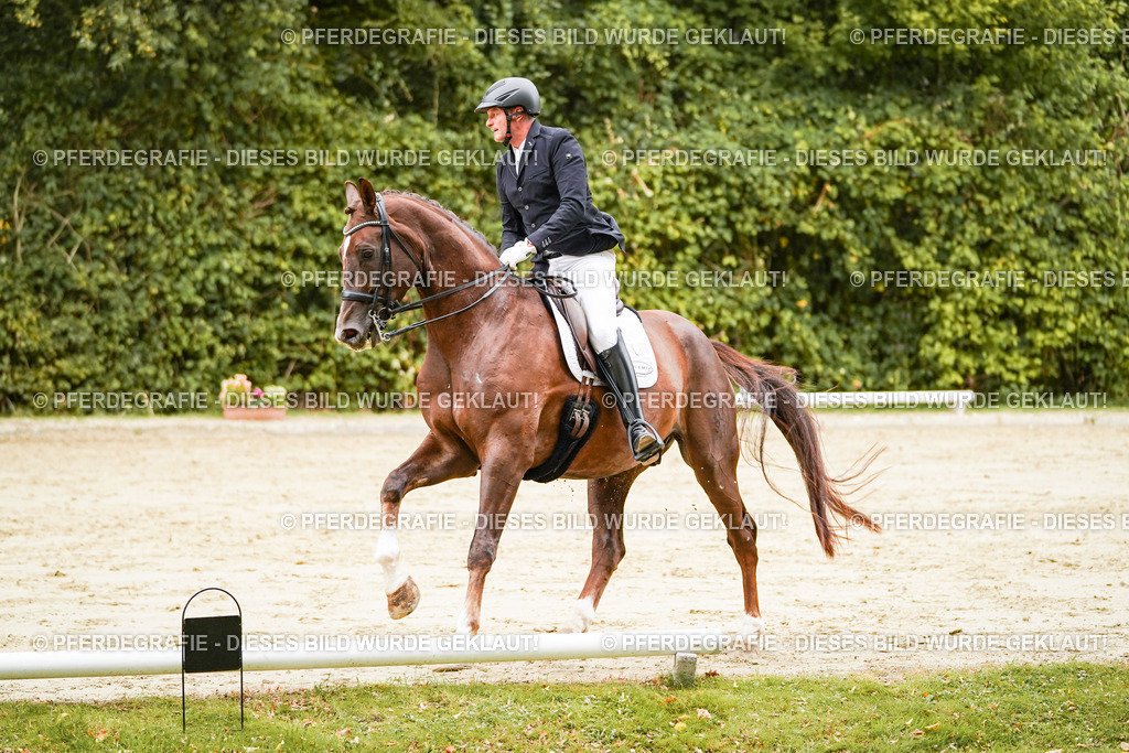 DSC03781 | Pferdegrafie