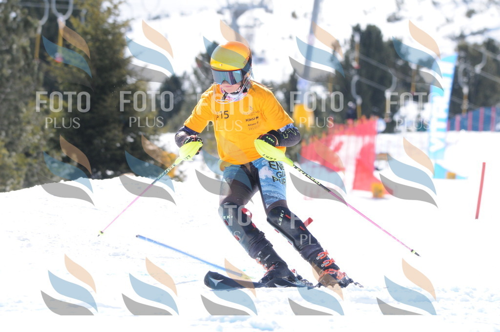 C9201 | holidayphoto