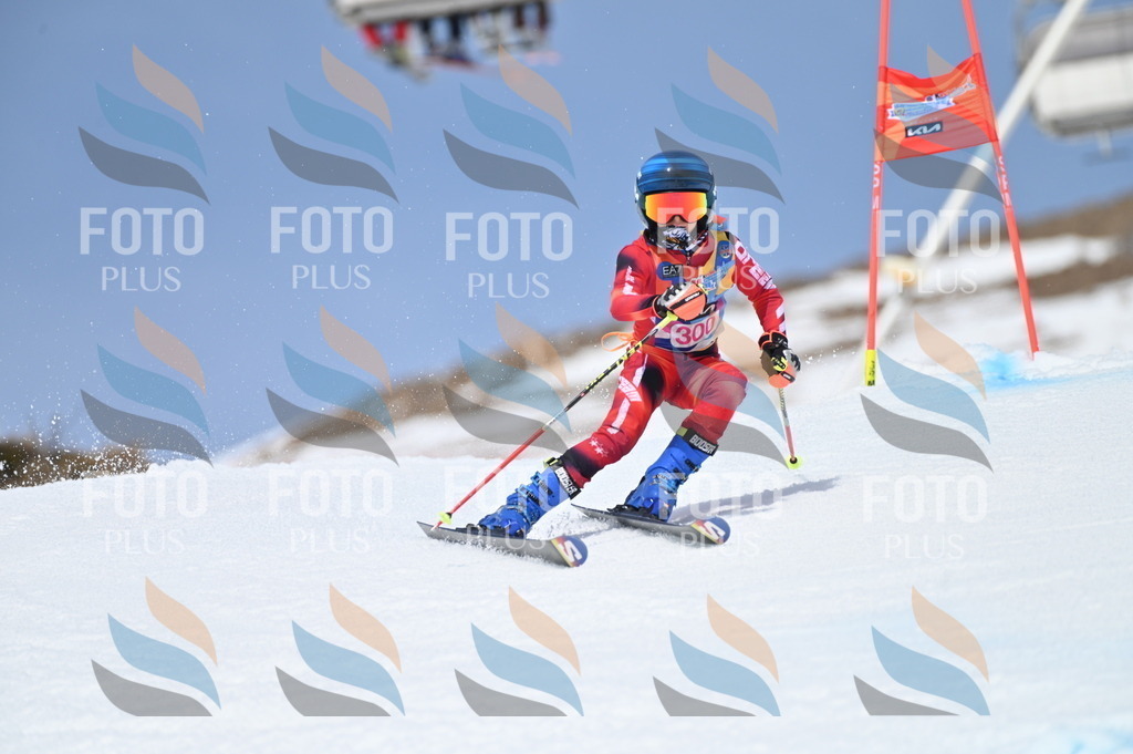 BGV_2775 | holidayphoto