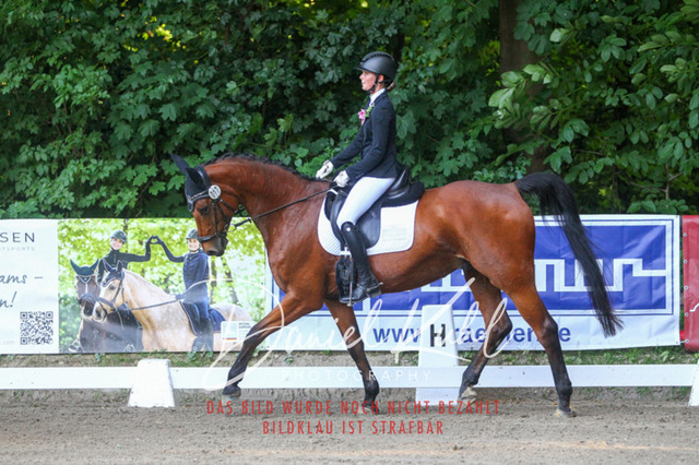 DKP43066 | Turniersportfotografie; Pferdefotografie; Dressurfotografie