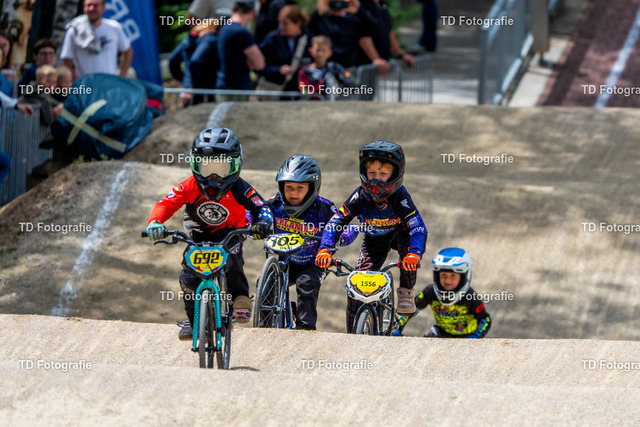 BayBMX2026-05856 | Fotogalerie von Thomas Dettweiler mit Eventbildern und lizenzfreien Fotos. Perfekt als Wandbild, für Büro, Website oder private Nutzung. - Realisiert mit Pictrs.com