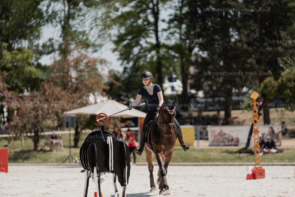 WE_SP_Stoib_333_PI2025_2040 | Pferd International München 2025