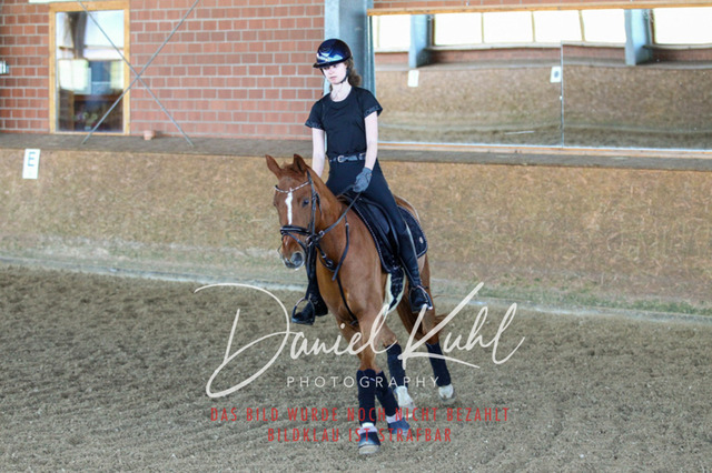 DKP42481 | Turniersportfotografie; Pferdefotografie; Dressurfotografie