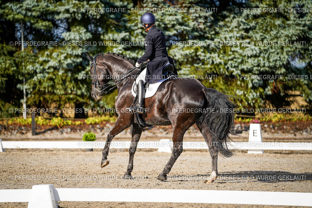 DSC00566 | Pferdegrafie