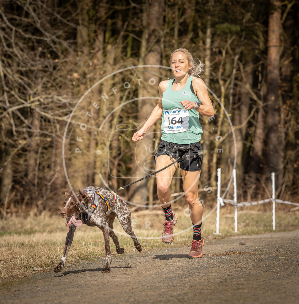 DV3A5600 | Hundefotografie, Tierfotograf, Pfotenfotografie, Fotoshooting Hund, Hunde Portrait, Hundesport, Hundeportraits, Heideshooting, Hunde, Sportfotograf, Hundefotograf, Turnierhundsport, THS,  - Realisiert mit Pictrs.com