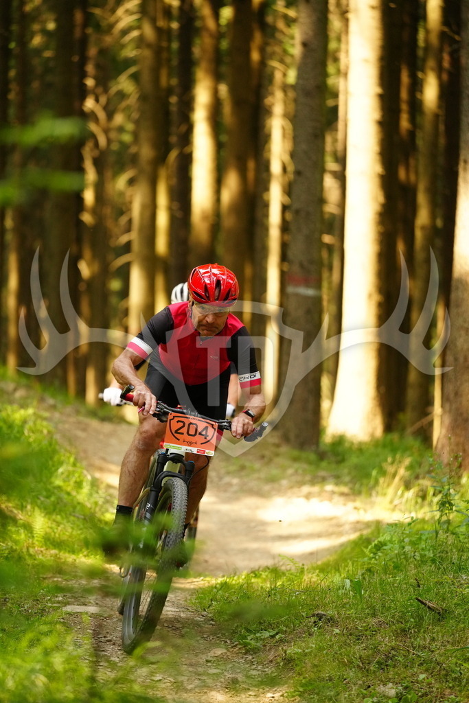 FC102893 | Fotogalerie der Treibjagd im Dunkelwald - Dein MTB Etappenrennen im Erzgebirge - Realisiert mit Pictrs.com