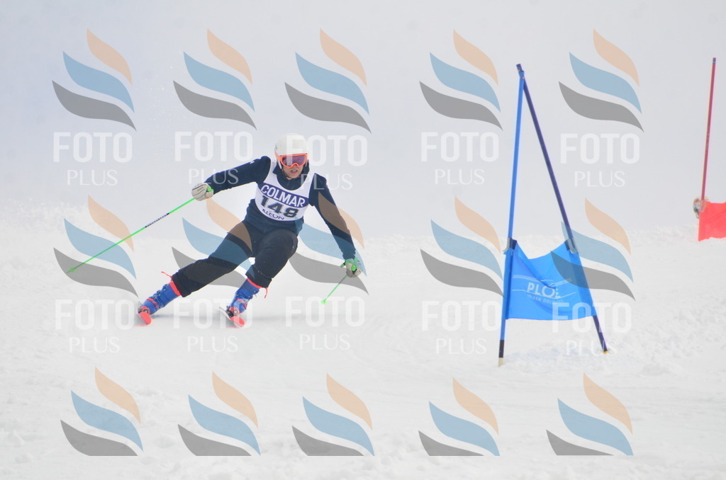 A6227 | holidayphoto