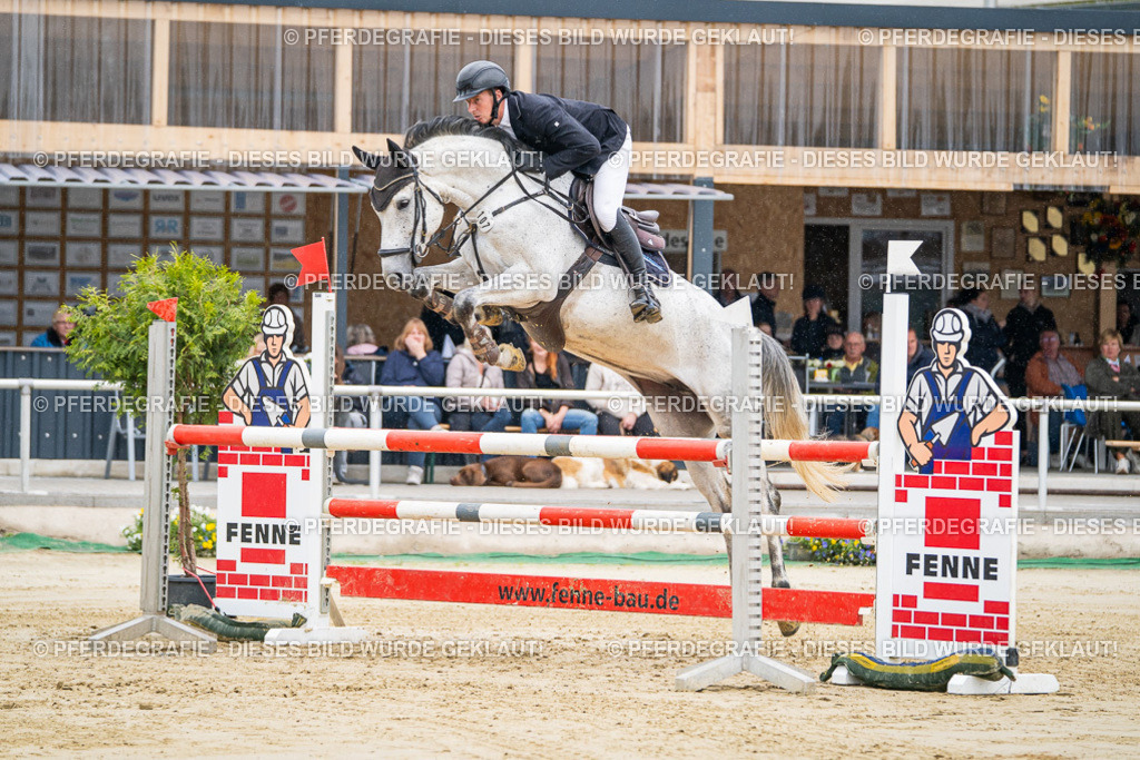 DSC01339 | Pferdegrafie