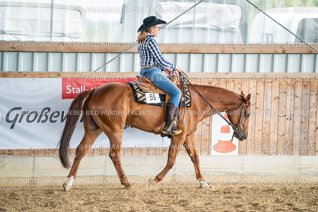 DSC08208 | Pferdegrafie