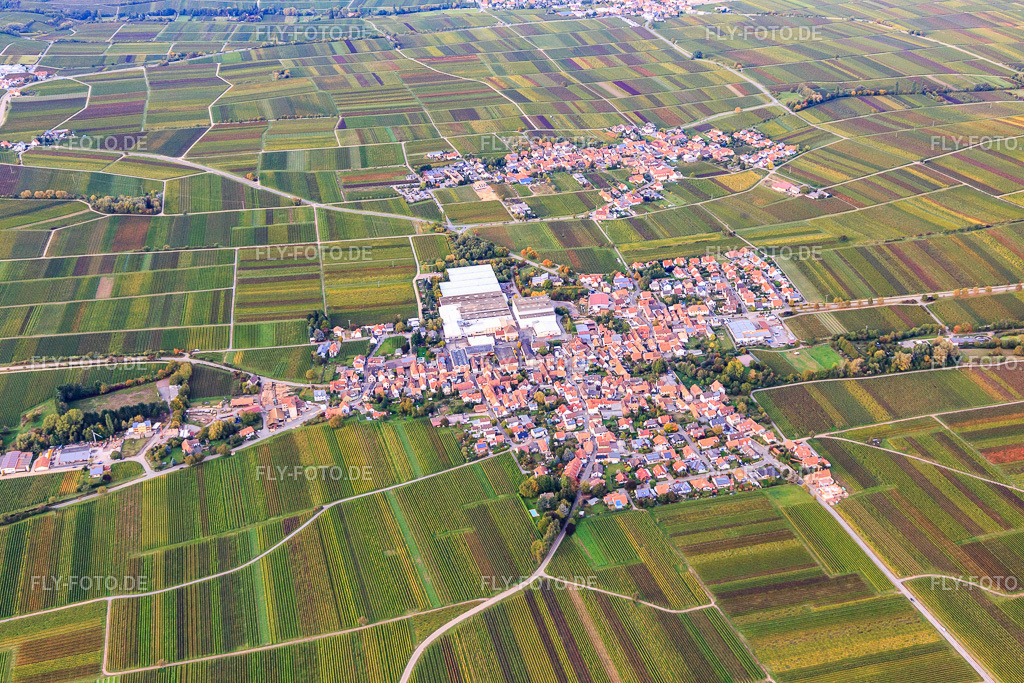 Winzerdorf mit Sektkellerei Schloss Wachenheim AG  und Böchinger Schloss | Luftbild: Winzerdorf mit Sektkellerei Schloss Wachenheim AG  und Böchinger Schloss in Böchingen im Bundesland Rheinland-Pfalz in Deutschland. Foto: IMG_103831.jpg vom 01.10.2017 durch Werner Riehm/FLY-FOTO.de - Realisiert mit Pictrs.com