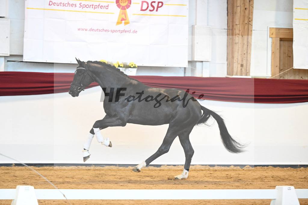 Kat-Nr. 22 v. Don Juan de Hus_Mueller_66220708 | hf-fotografie - Realisiert mit Pictrs.com