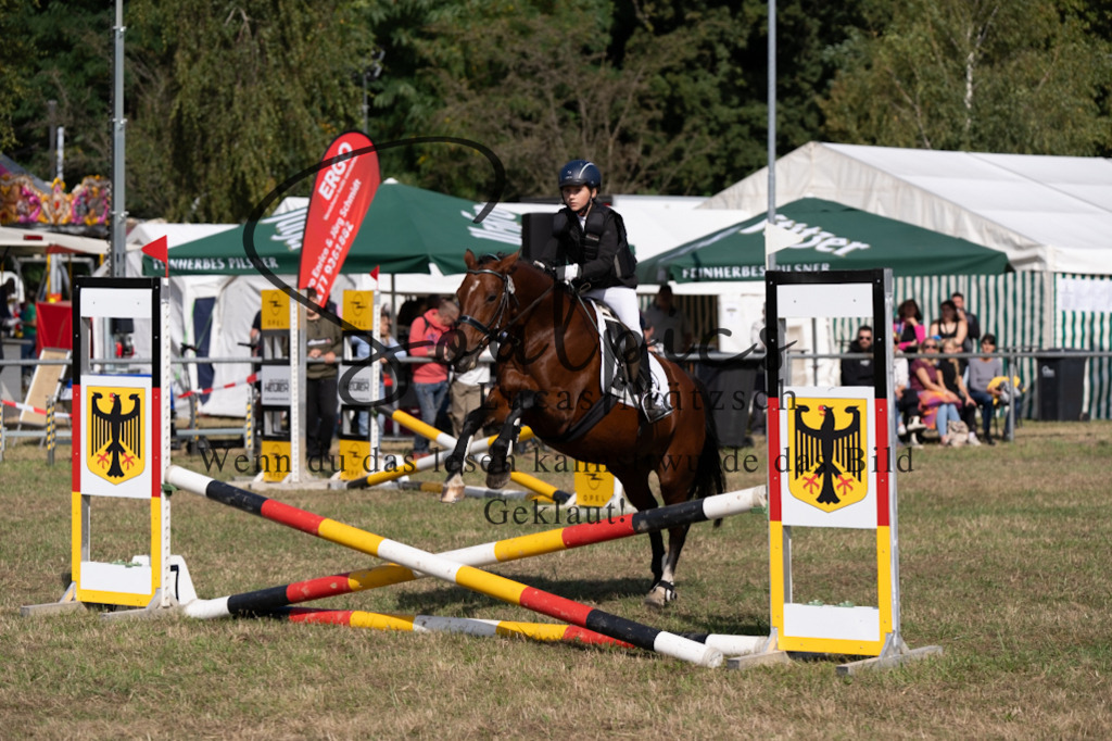 A7V08445 | Pferdefotograf