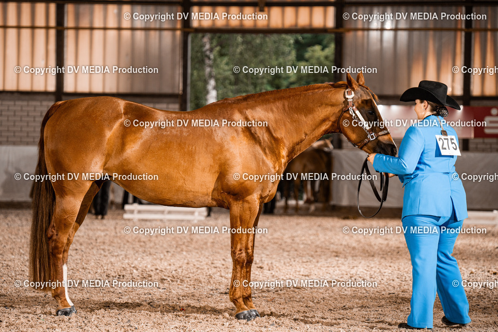 ZH200156 | dv-media-shop - Realisiert mit Pictrs.com