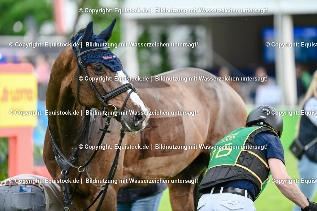 TS_20250607_27_CCI4_Gelände_0606 | Foto: Thomas Hartig