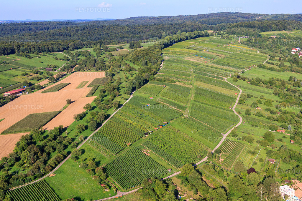 Luftbild: Weinberge Ellmendingen im Ortsteil Ellmendingen in Keltern im Bundesland Baden-Württemberg in Deutschland. Foto: IMG_32455.jpg vom 21.08.2010 durch Werner Riehm/FLY-FOTO.de