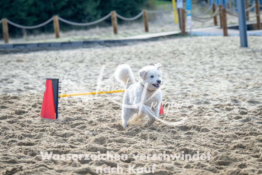 0955_ZZ93092 | kk-dogfotos