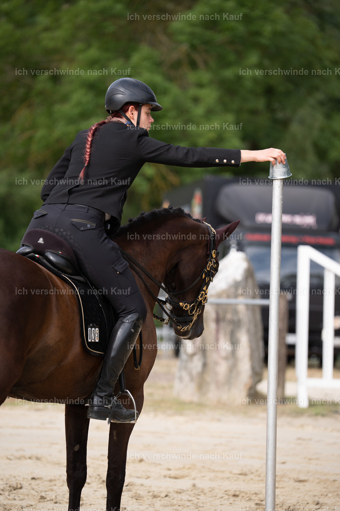 WL_ST_25_stoibphotography__SO10392 | working equitationturnier fotograf videograf stoibphotography marixx film working equitation deutschland reitsport turnierfotografie eventfotografie equestrian events