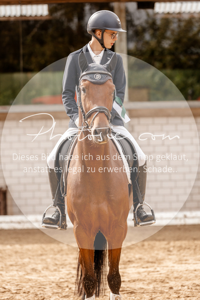 3I6A7617 | Stimmungsvolle Portraits und Reitsportfotografie im Ruhrgebiet und im Münsterland.

Pferdefotografie, Hundefotografie, Tierfotografie, Reportagen, Portraits von Tier und Mensch, Turnierfotografie in Bochum, Recklinghausen, Marl, Haltern am See, Dülmen.. - Realisiert mit Pictrs.com