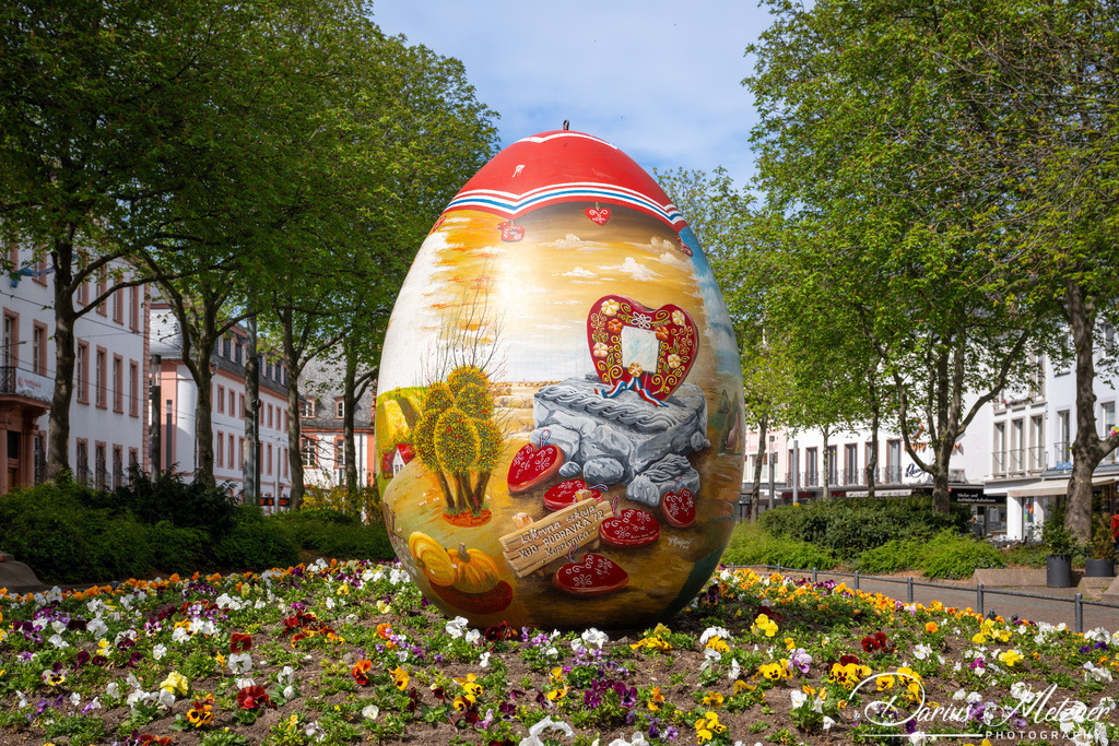 DSC_1975 | Fotografien, Fotos und Bilder aus Mainz, Frankfurt, Wiesbaden und anderen Orten auf der Welt - Fotografiert von Darius Metzner