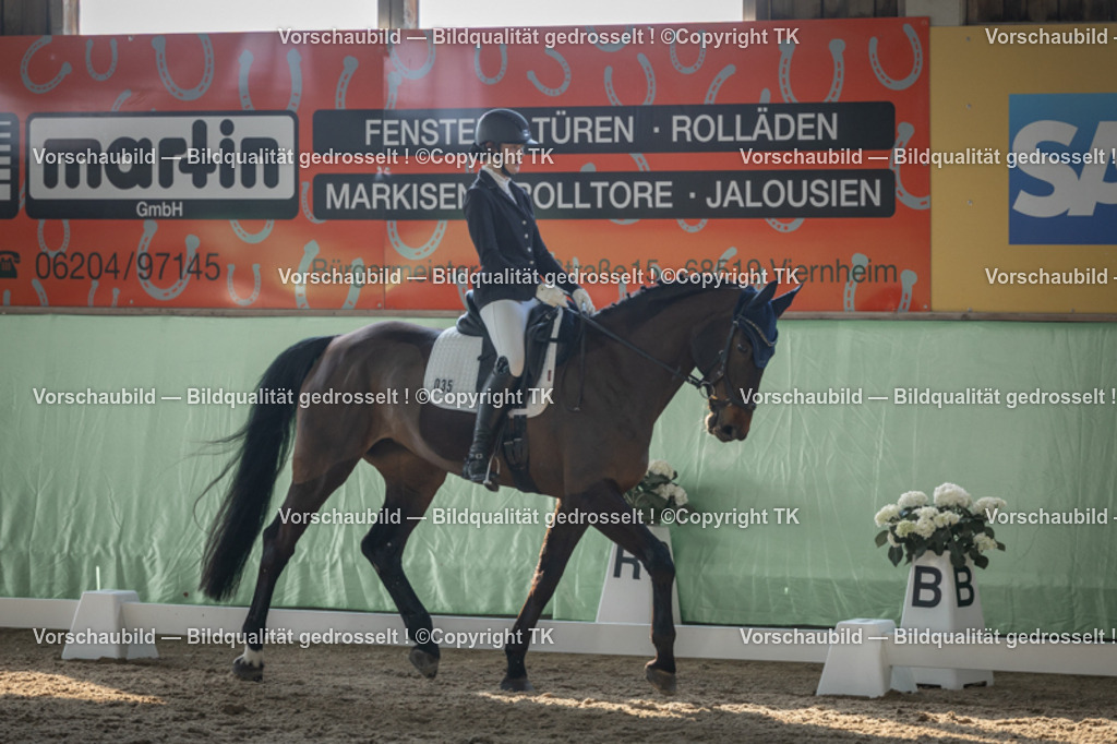 _D5A8344 | Emotionale Pferde- & People-Fotografie rund um Heidelberg, Leimen & Umgebung. Natürliche Fotos von Pferd, Mensch & Familie. Jetzt Termin sichern!