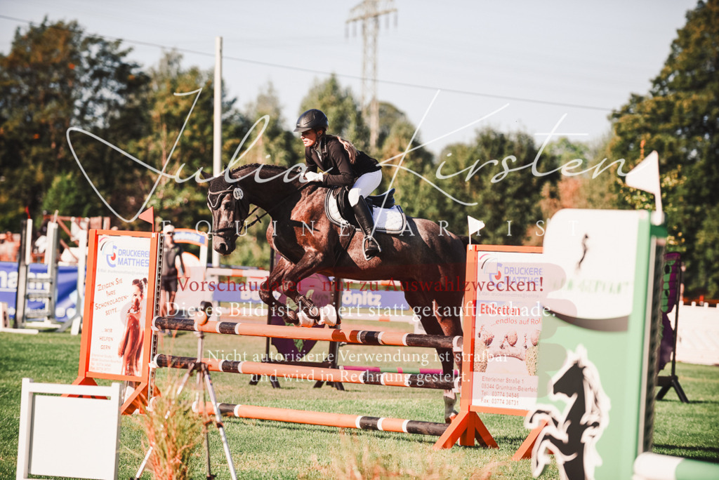 DSC_2189 | Pferde- und Turnierfotografie in Westsachsen. Pferdeportraits, Auftragszeichnungen und intuitive Kunst.