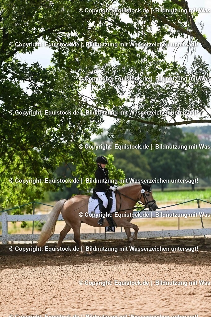 20230716_10-3_Reiter-WB Schritt - Trab - Galopp_0101 | equistock