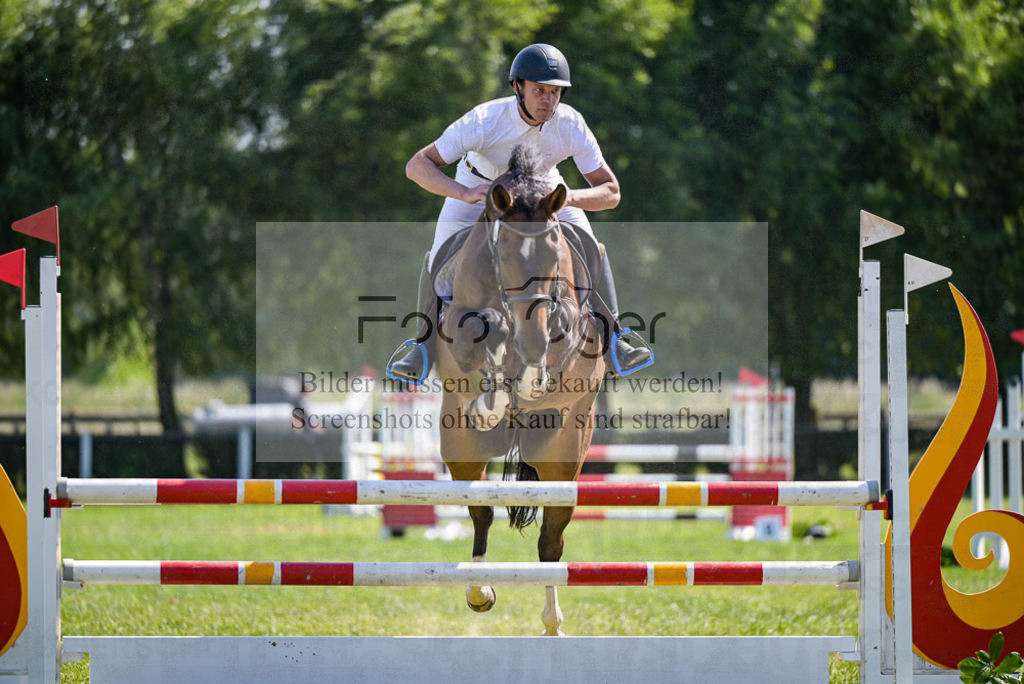 Reitturnier Voxtrup | Entdecke hochwertige Reitturnierfotos von Foto Oger. Professionell, emotional und authentisch – jetzt Lieblingsmomente im Shop bestellen. - Realisiert mit Pictrs.com