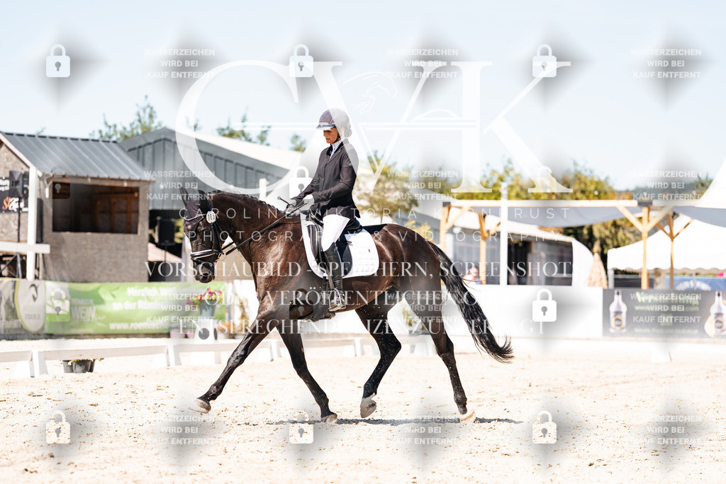 CK900132 | Turnierfotografie Pferdefotografie Trier Rheinland-Pfalz Pferdesport Reitsport Tierfotografie Sportfotografie Pferdevideo Pferdevideografie Equestrianvideography equestrianphotography  - Realisiert mit Pictrs.com