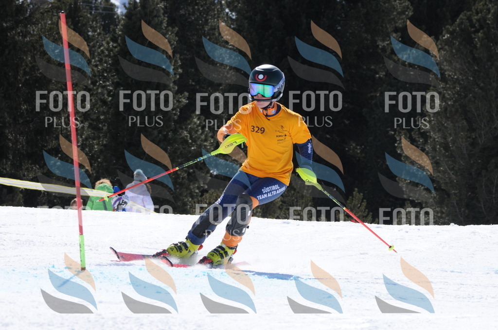 C9286 | holidayphoto