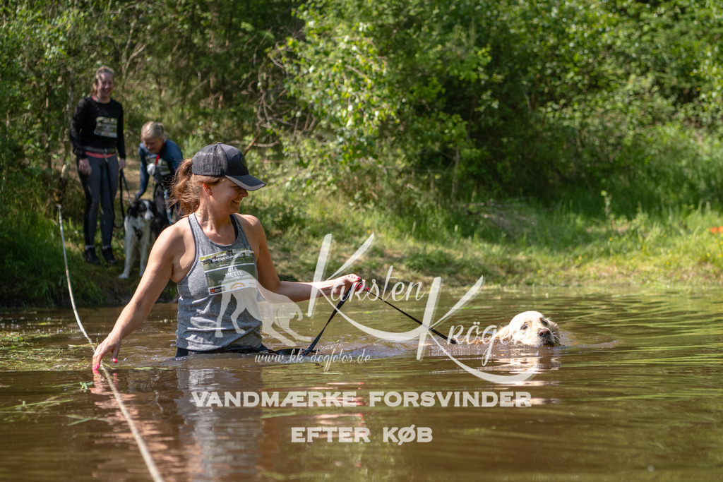 1520DKK992952 | kk-dogfotos