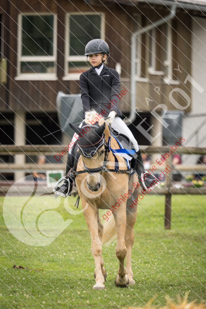 IMG_1955 | Sport-, Event- und Tierfotos in Profiqualität. Einfach auswählen, bestellen und herunterladen. Dein Moment – perfekt festgehalten.