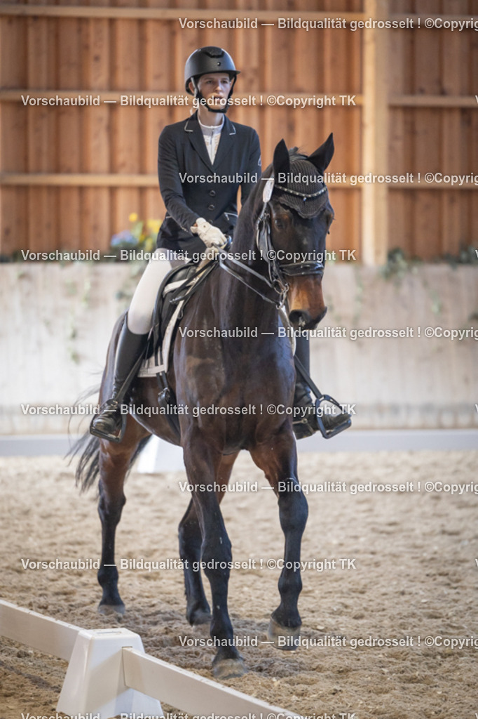 _D5A1925 | Emotionale Pferde- & People-Fotografie rund um Heidelberg, Leimen & Umgebung. Natürliche Fotos von Pferd, Mensch & Familie. Jetzt Termin sichern!