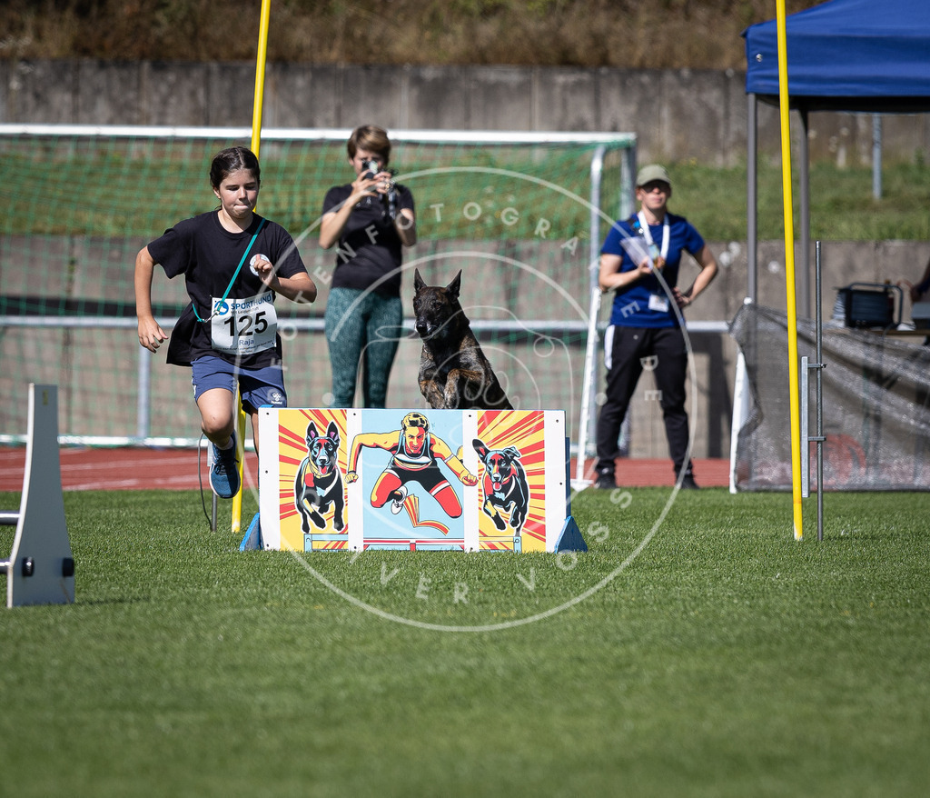 Pfotenfotografie_DV3A8594 | Hundefotografie, Tierfotograf, Pfotenfotografie, Fotoshooting Hund, Hunde Portrait, Hundesport, Hundeportraits, Heideshooting, Hunde, Sportfotograf, Hundefotograf, Turnierhundsport, THS,  - Realisiert mit Pictrs.com