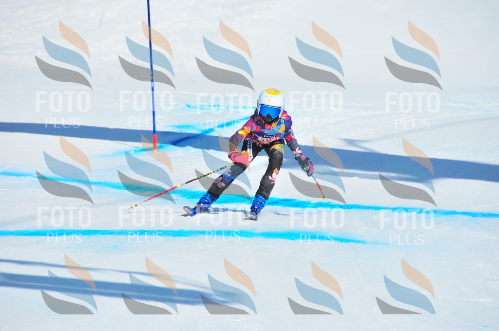 DSC_4606 | holidayphoto