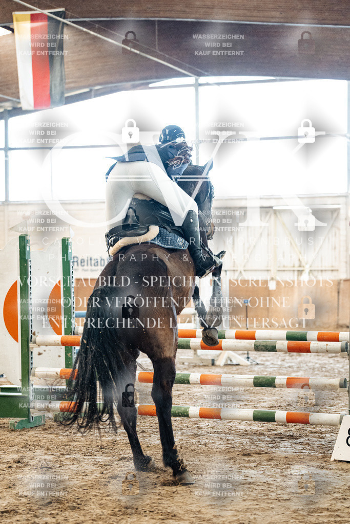 CK904275 | Turnierfotografie Pferdefotografie Trier Rheinland-Pfalz Pferdesport Reitsport Tierfotografie Sportfotografie Pferdevideo Pferdevideografie Equestrianvideography equestrianphotography  - Realized with Pictrs.com